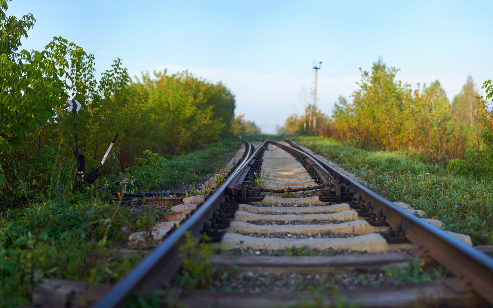 A little bygone summer - My, The photo, Nature, Siberia, Kemerovo region - Kuzbass, Prokopyevsk, HDR, Панорама, Longpost