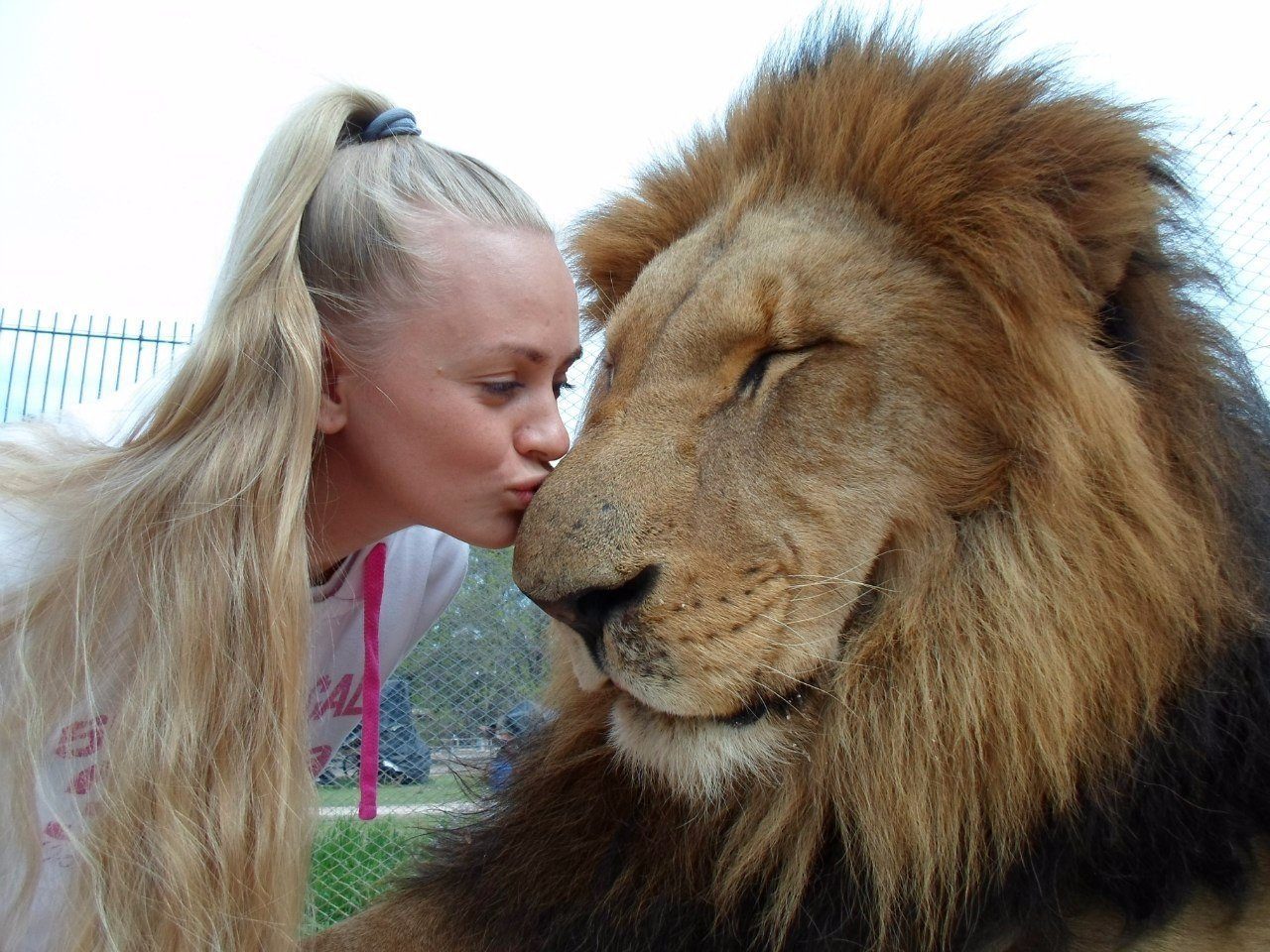 Milota...) - Girls, a lion, Animals, Our smaller brothers, Kiss, Milota, Photo