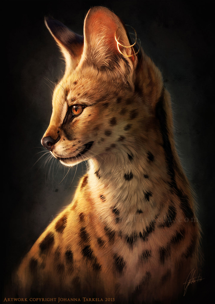 Art by Lhuin. Kittens. [deviant art] - Art, cat, Animals, Pets, Deviantart, Longpost, Johis