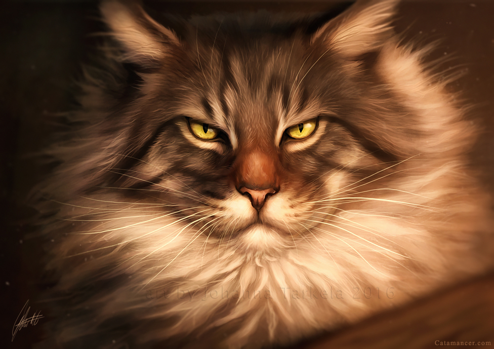 Art by Lhuin. Kittens. [deviant art] - Art, cat, Animals, Pets, Deviantart, Longpost, Johis