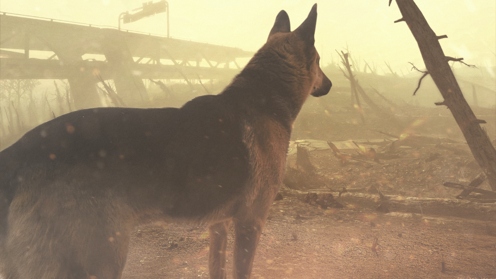 With a true friend, even in the wasteland. - Photoshop, Dog, Dog, Post apocalypse, Wasteland, My