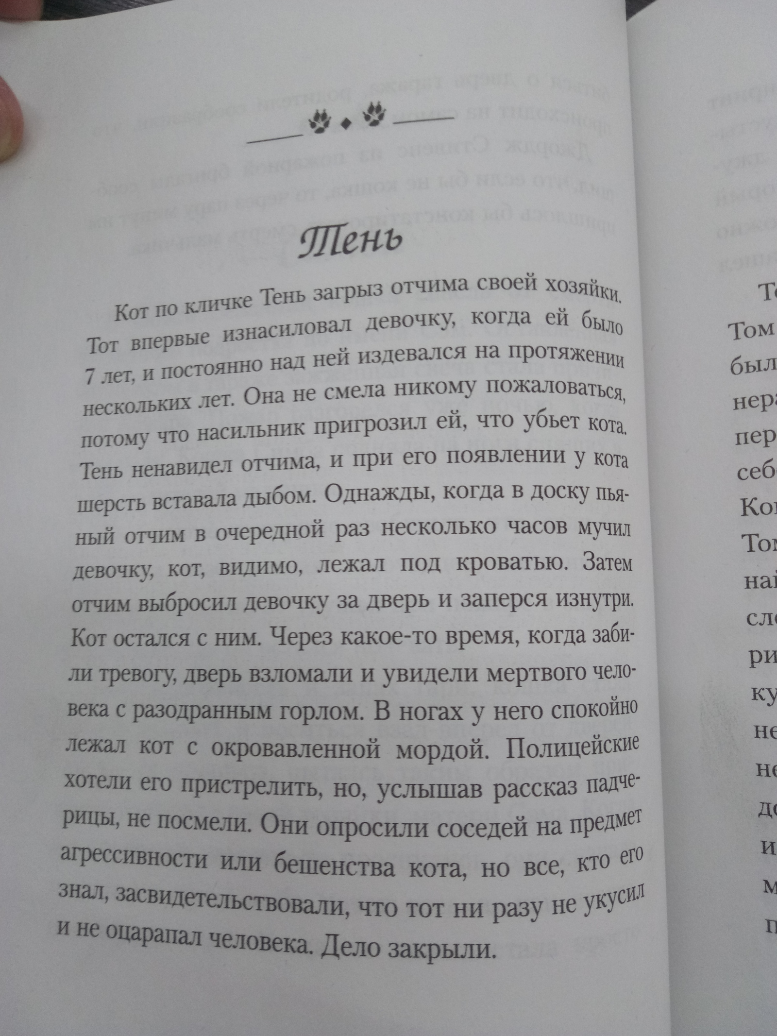 Притчи о котиках... - Моё, Рассказ, Кот, Длиннопост