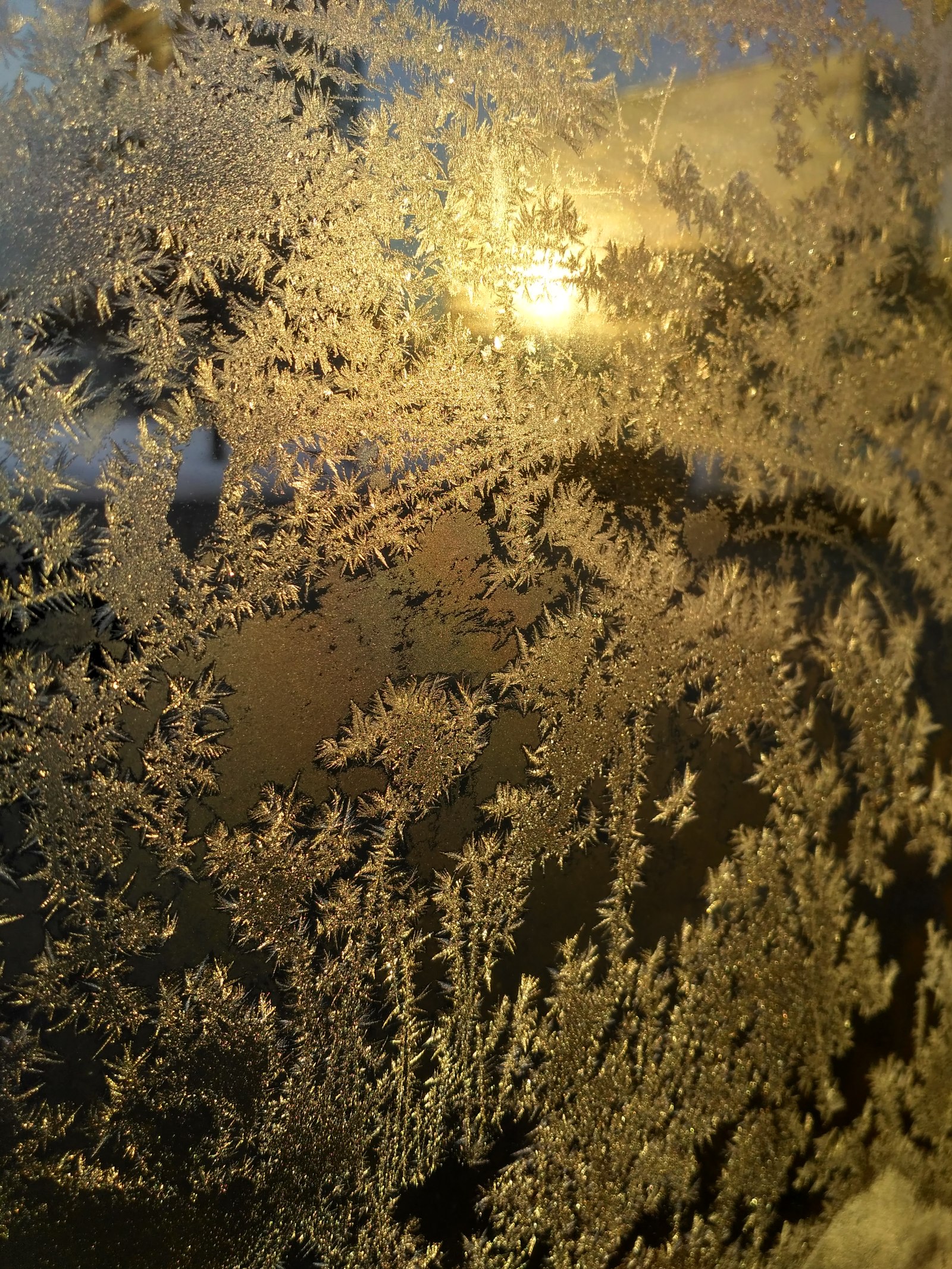 Frost and sun - freezing, The sun, Moscow, Window, Artist