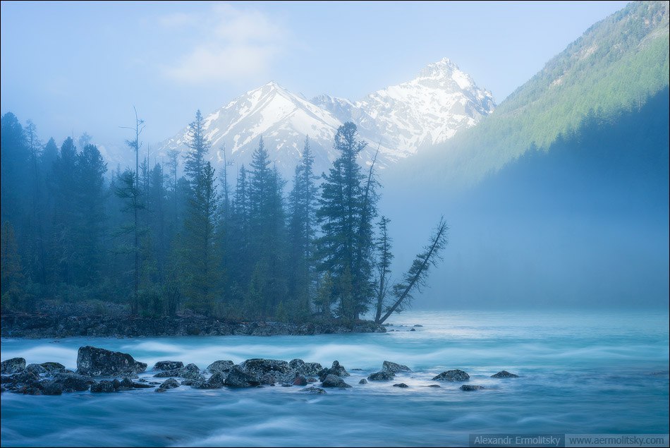 Kucherlinskoye Lake - Altai, Lake, Landscape, Flowers, Summer, Gotta go, Photo, Longpost, Altai Republic