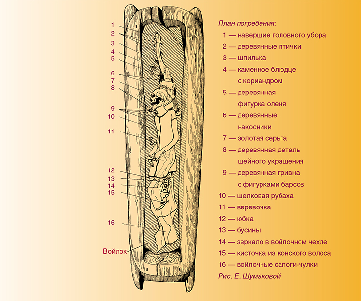 The mummy continues to uncover mysteries - Grave, Mountain Altai, Pazyryk culture, MRI, Ukok Plateau, Longpost, Altai Republic