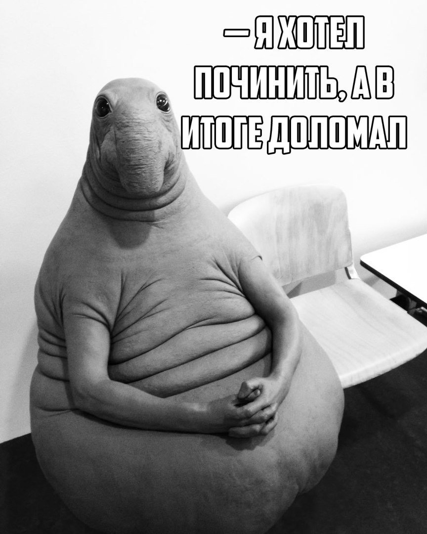 Doctor, what's wrong with me: the exhibit Zhdun conquered social networks - Memes, Zhdun, Elephant seal, Sculpture, Longpost