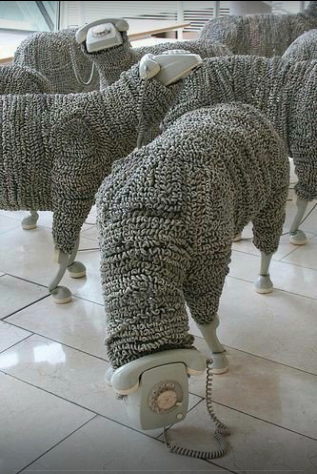 telephone sheep - Sheeps, Telephone, Creation