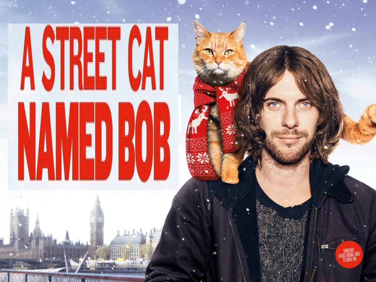 Ten great films to reflect on life... - Sadness, A life, Movies, Longpost, Street cat named Bob