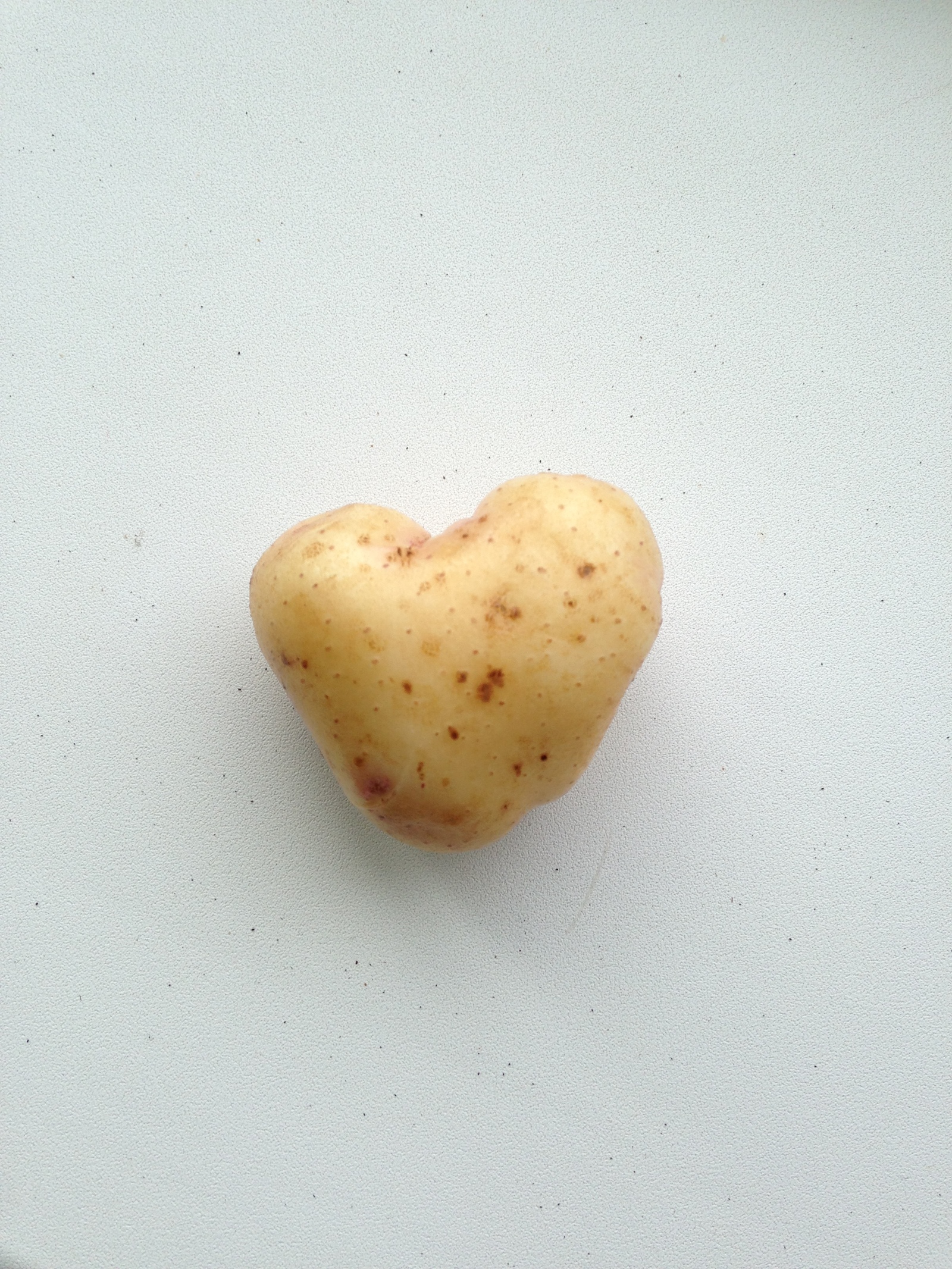 Our potatoes this year - My, Heart, Illusion, Harvest, Potato, Form, Longpost