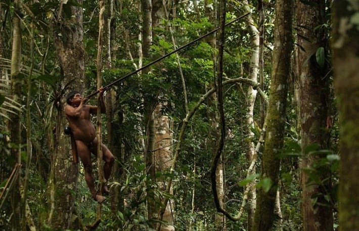 The photographer spent 12 days with the savages from the Amazonian tribe. His shots are shocking... - Guarani, Peekaboo, Longpost