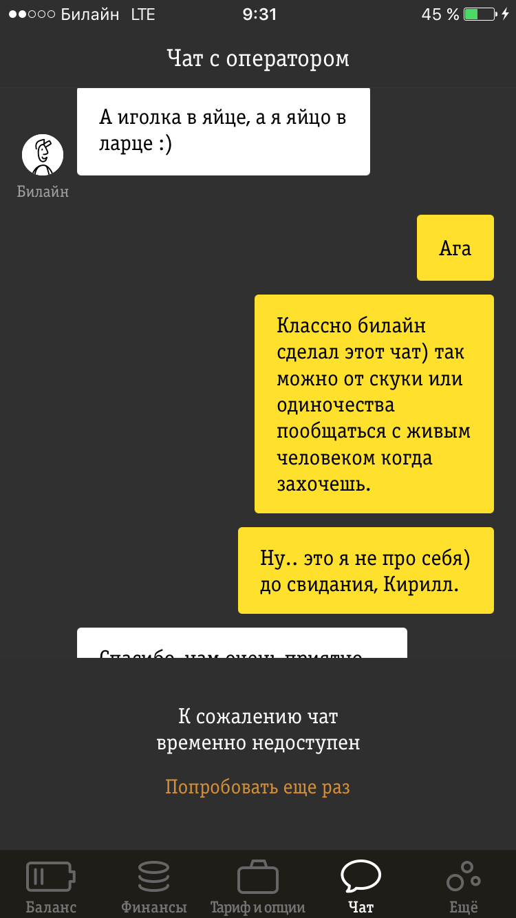 Загадка от Пчелки - Моё, Билайн, Техподдержка билайна, Загадка, Необъяснимое, Длиннопост