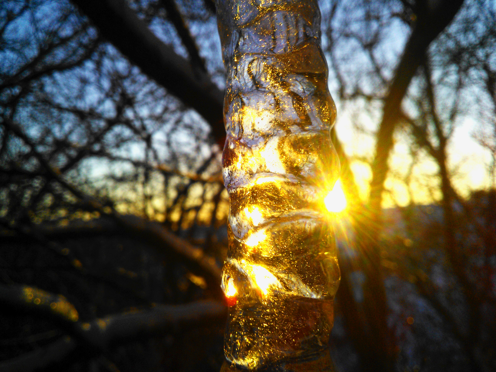 Icicle - My, Icicles, Winter, Photo