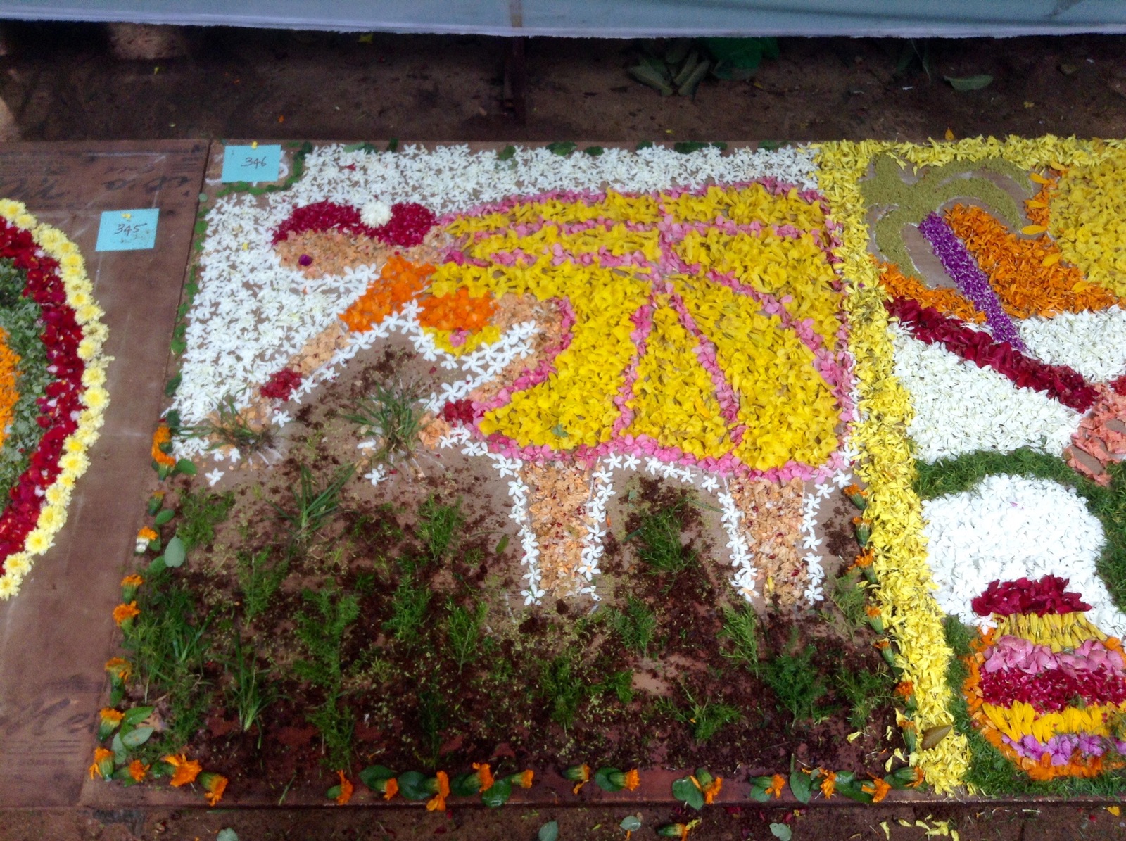 Flower rangoli, Tamil Nadu, India - My, India, , Exhibition, Rangoli, Travels, Longpost