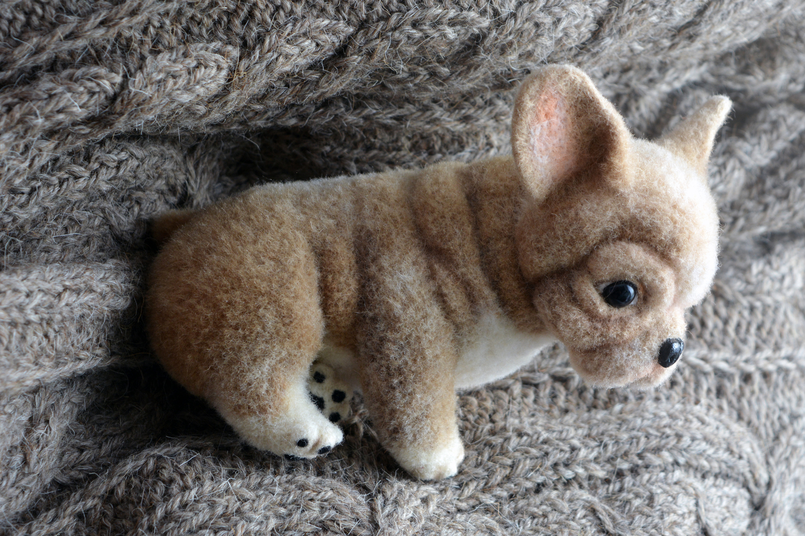 Wool french bulldog puppy - My, Wool, Felt, Wallow, , Corgi, Bulldog, Chow Chow, Toys, Longpost