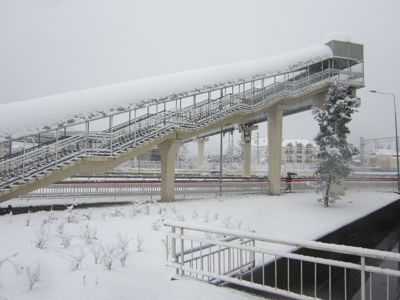 Today in Sochi (Adler district) - My, Sochi, Adler, Snow, Longpost