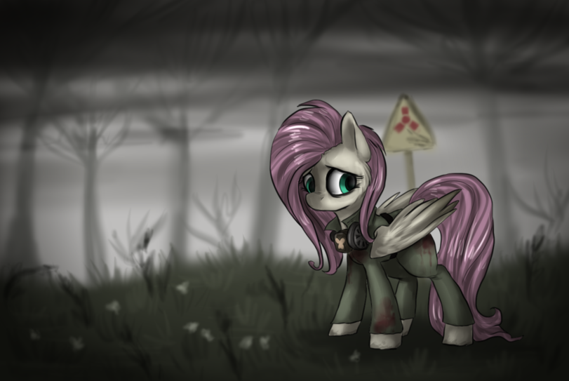 Pony in the Zone. - My little pony, Stalker, Crossover, Twilight sparkle, Fluttershy, Semi-Grimdark