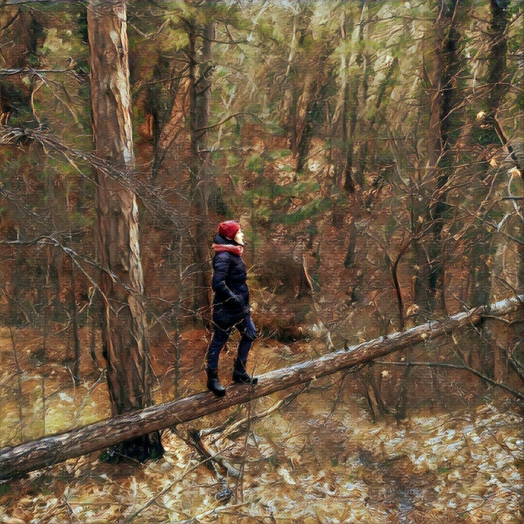 Almost a painting by Shishkin, almost a bear. - My, Nature, Crimea