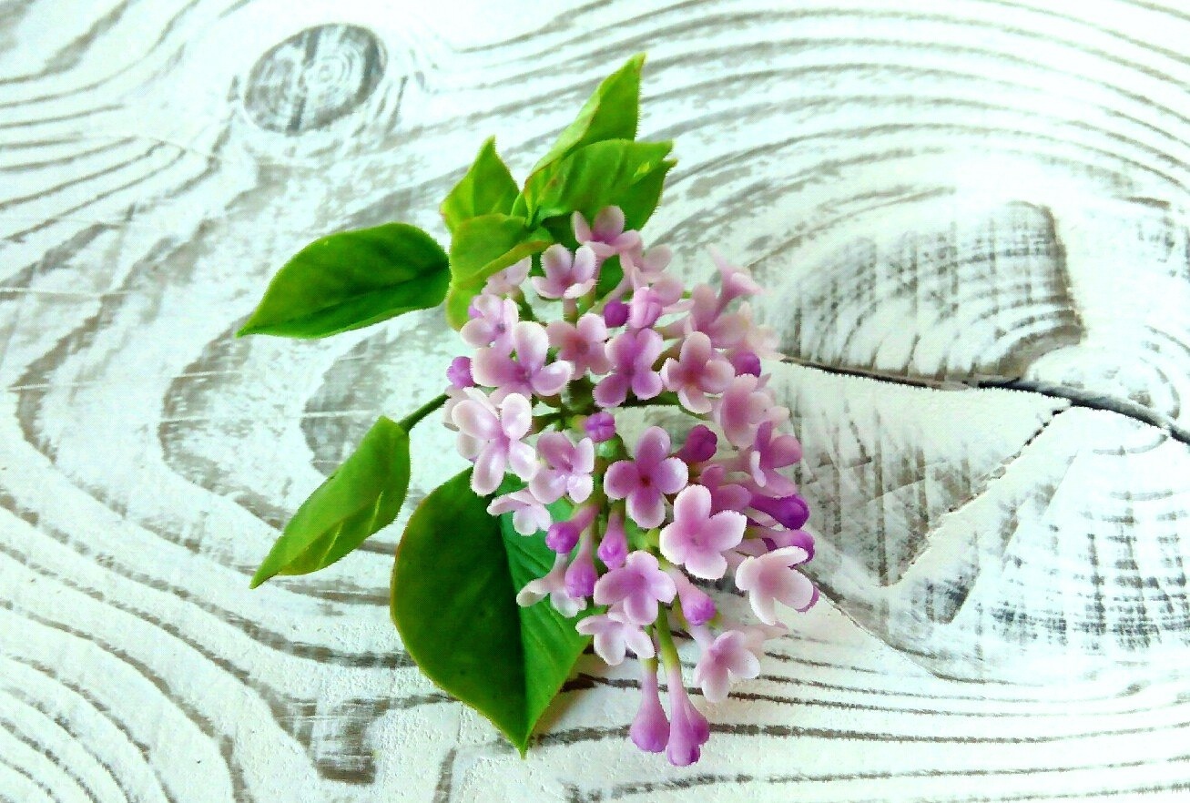 A sprig of lilac from cold porcelain. - My, Polymer clay, Cold porcelain, Needlework, Handmade, Spring, March 8, Decoration, Longpost