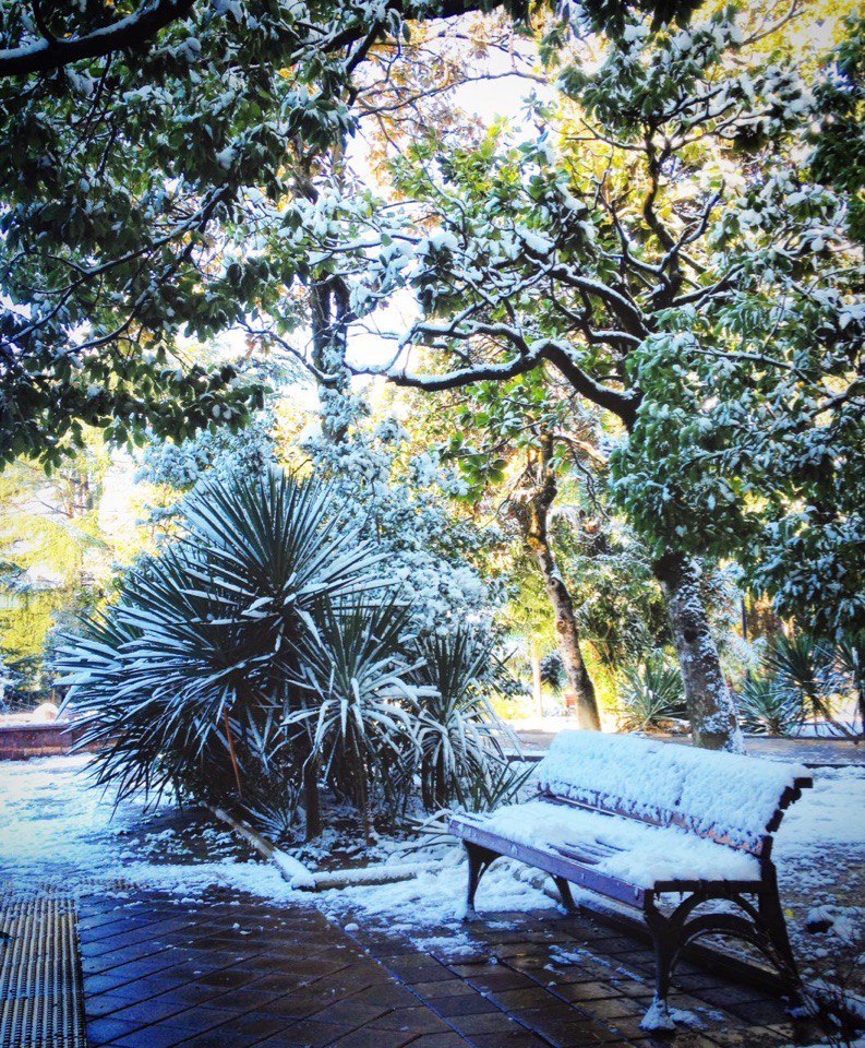 Subtropical winter in Sochi - Typical, Sochi, Longpost, Snow, Humor, Winter, Nature, Sea