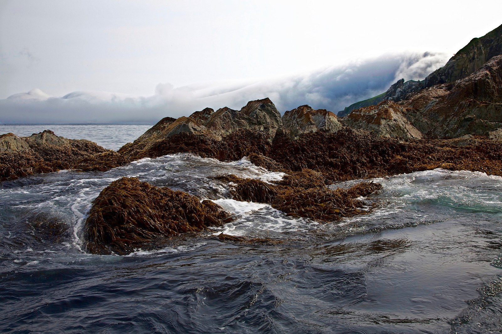 Copper Island - Kamchatka, Bering Sea, , Russia, The photo, Landscape, Nature, iron islands, Longpost