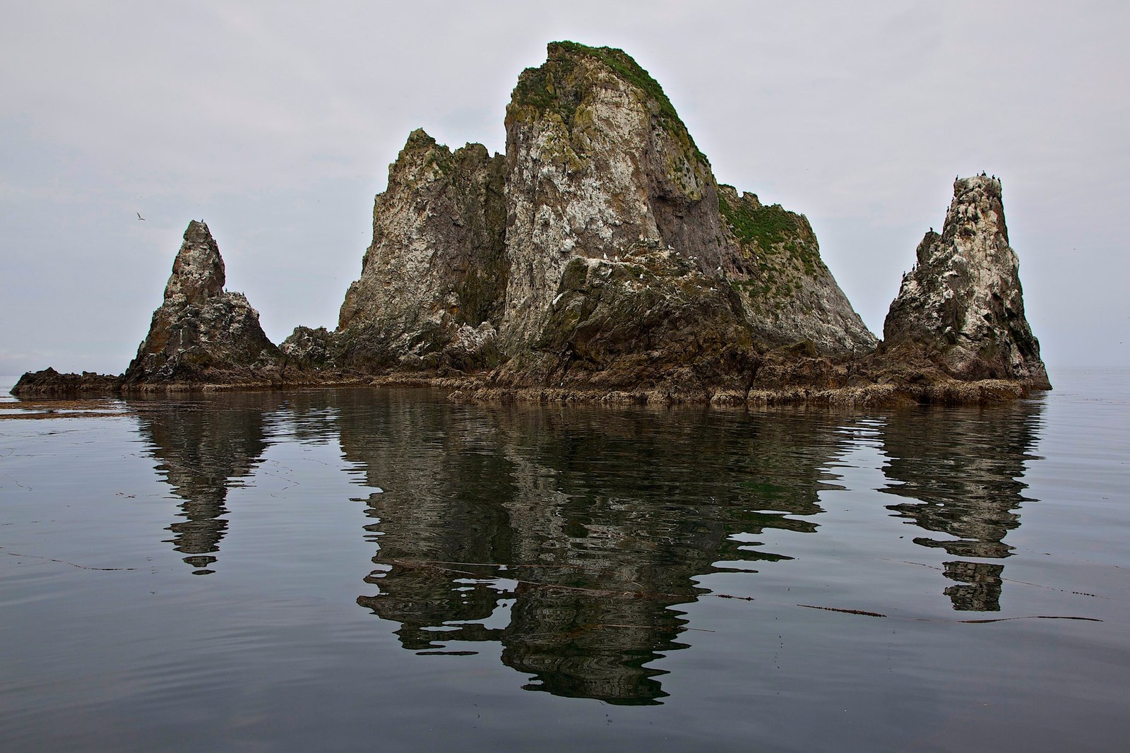 Copper Island - Kamchatka, Bering Sea, , Russia, The photo, Landscape, Nature, iron islands, Longpost