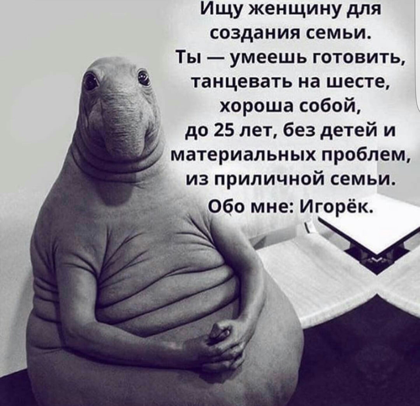 Фото Ждуна