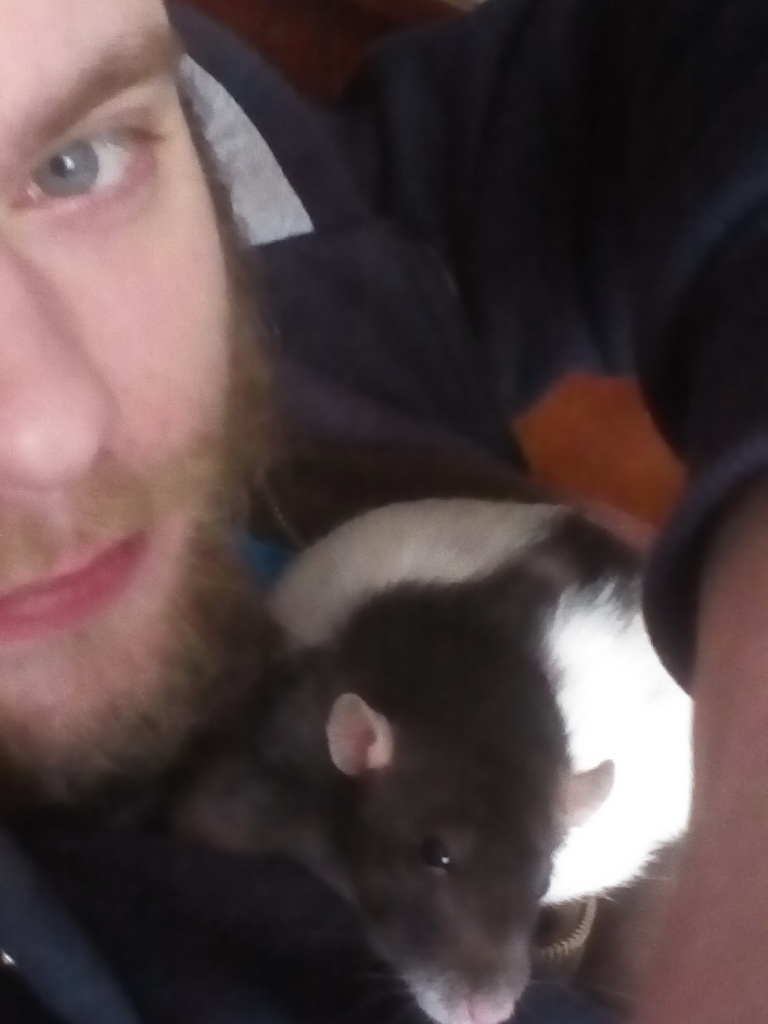 Ciri and me) - My, Decorative rats, Rat Chronicles