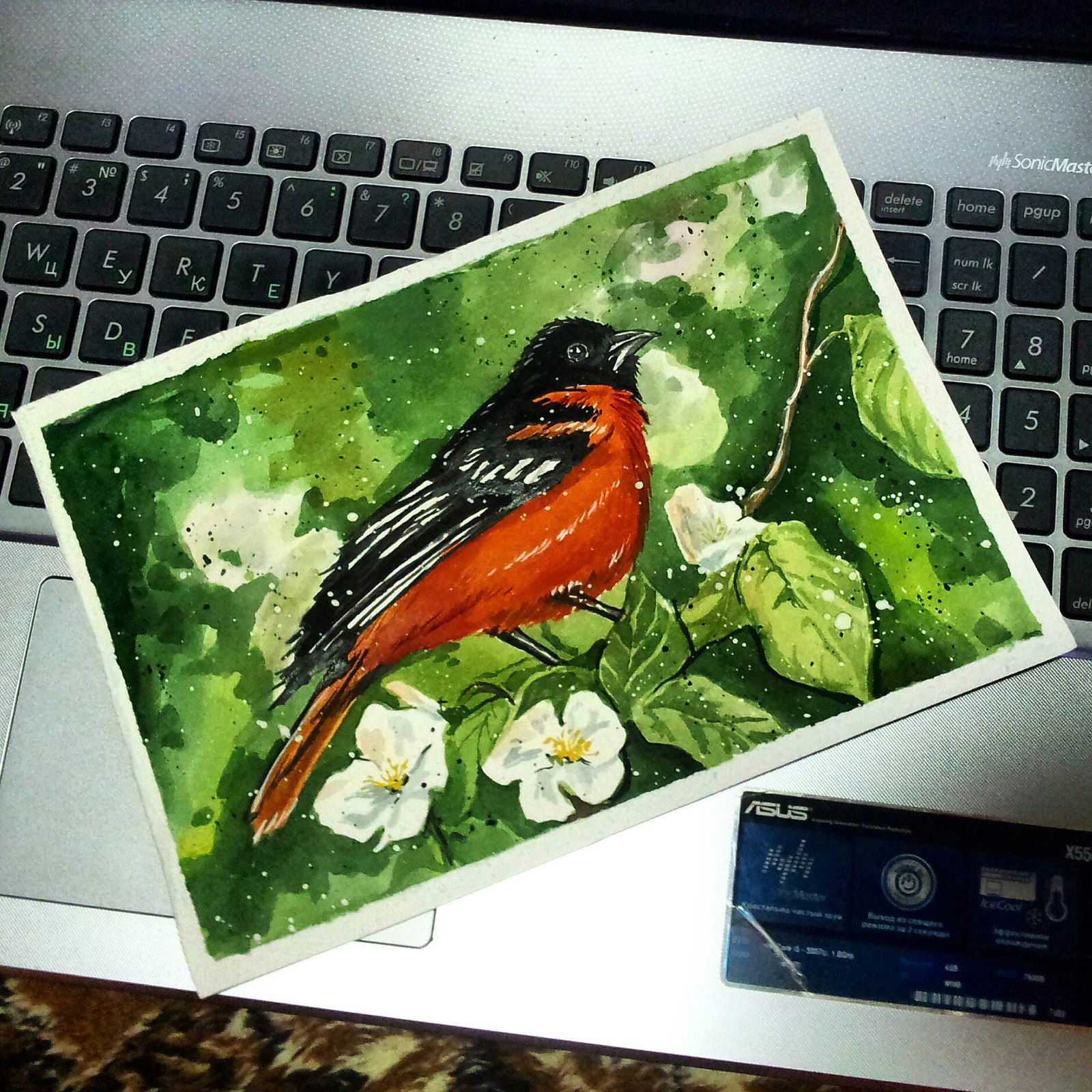 Little bird - My, Creation, Friday tag is mine, Watercolor, Nature, Art