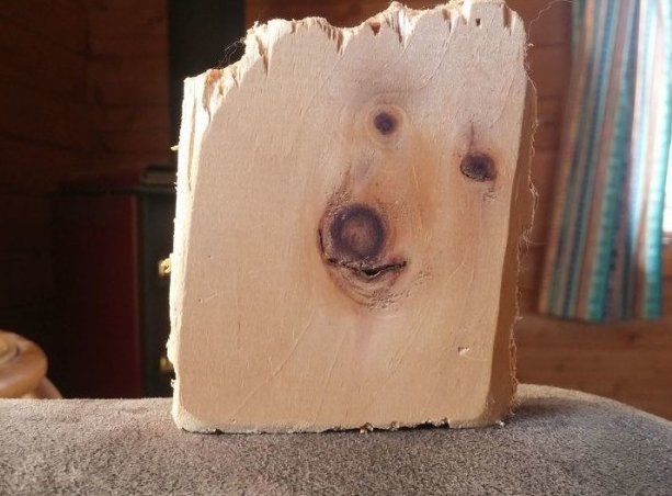 Dratuti 2.0 - Gratuti, 2 point 0, , Wood, Dog, New version of Peekaboo