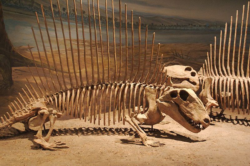 How did dinosaurs survive the heat? - My, Dinosaurs, Paleontology, Interesting, Longpost, Overheat, Evolution