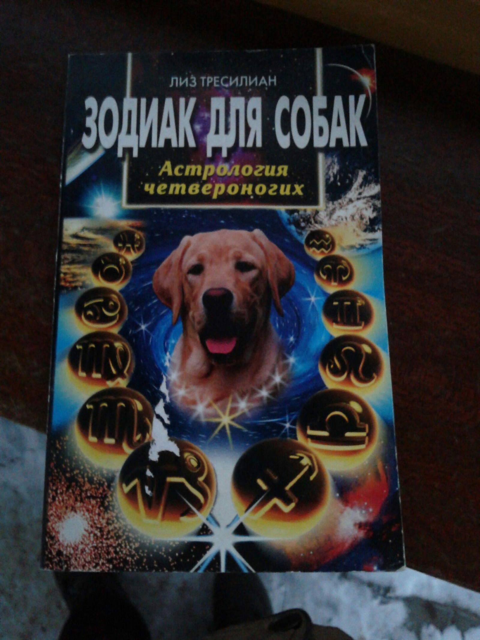 Just a horoscope - Horoscope, Dog