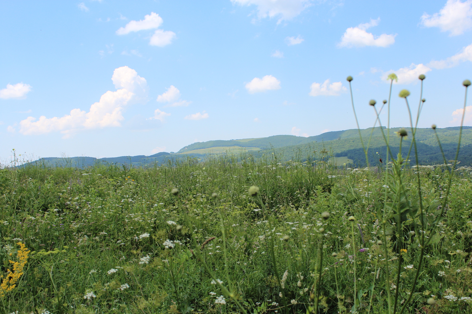 Krasnodar region - My, Travels, Краснодарский Край, Lake, The mountains, Summer, Travel across Russia, Longpost