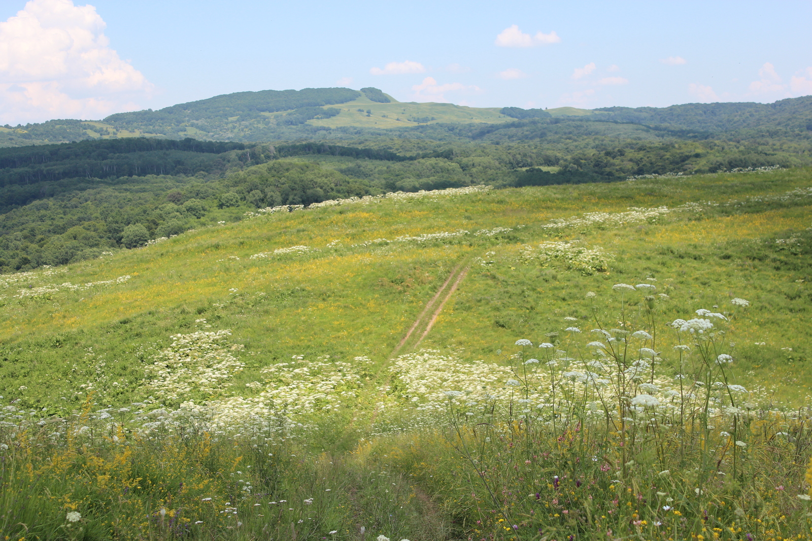 Krasnodar region - My, Travels, Краснодарский Край, Lake, The mountains, Summer, Travel across Russia, Longpost