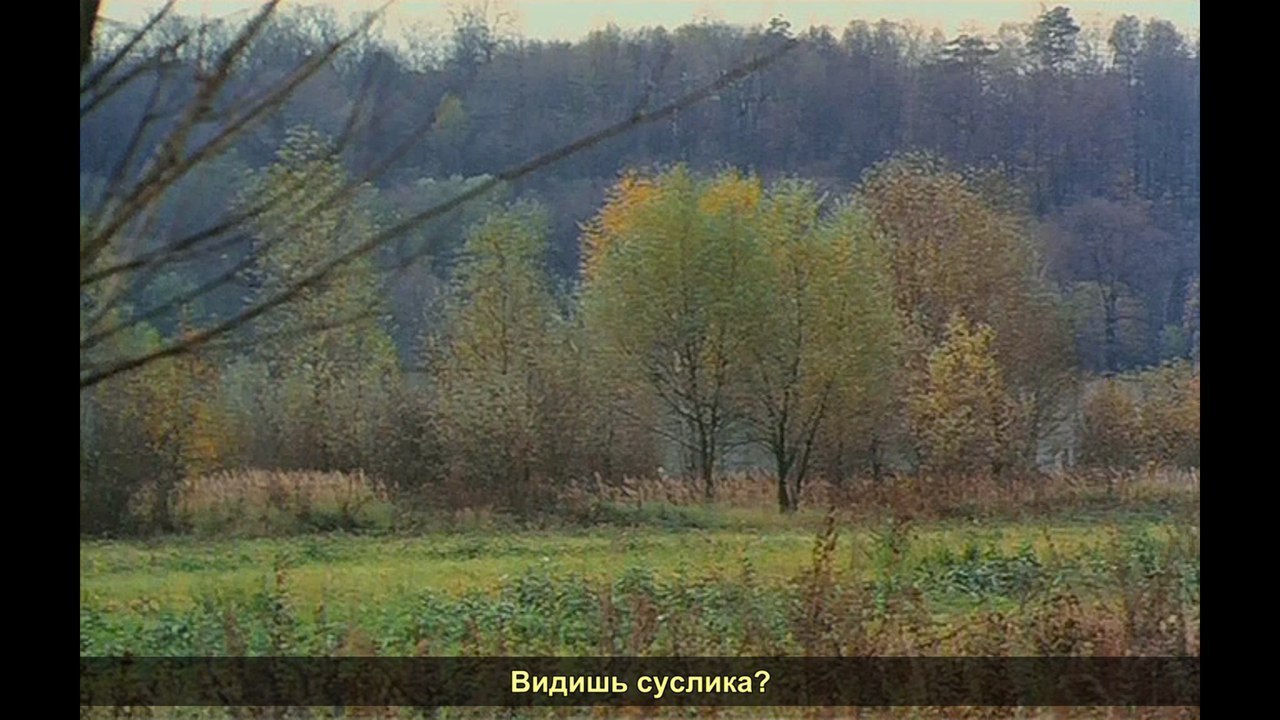 ДМБ - классика. - ДМБ, Фильмы, Классика, Пуля, Гена бобков - это я !, Длиннопост, Фильм ДМБ