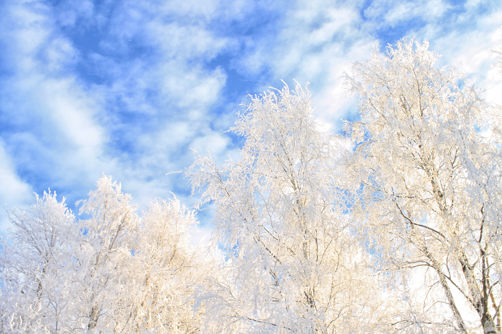 Winter fairy tale in the homeland of M.V. Lomonosov - My, The photo, Canon 1100d, , Lomonosovo, Arkhangelsk region, Longpost