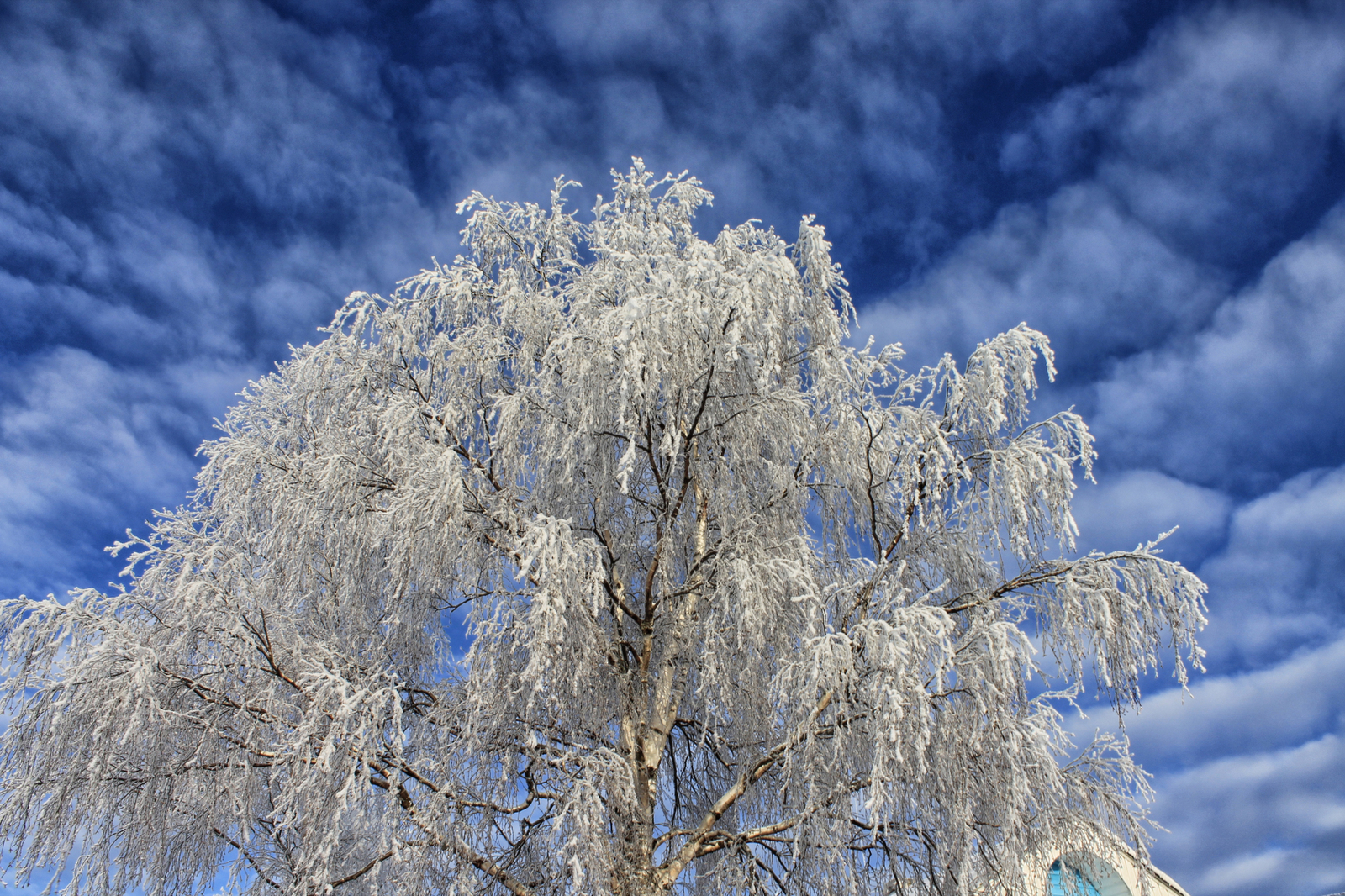 Winter fairy tale in the homeland of M.V. Lomonosov - My, The photo, Canon 1100d, , Lomonosovo, Arkhangelsk region, Longpost