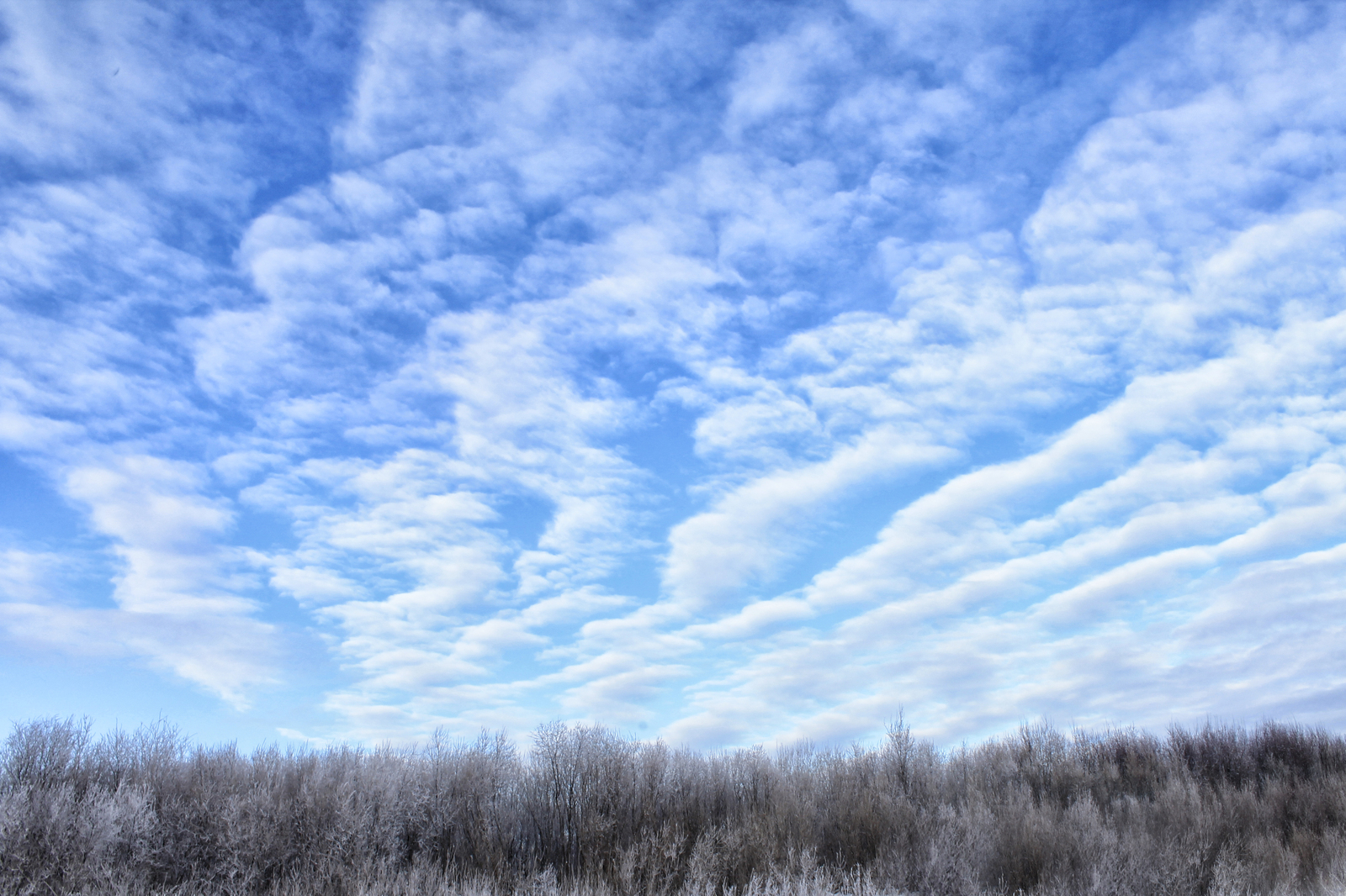 Winter fairy tale in the homeland of M.V. Lomonosov - My, The photo, Canon 1100d, , Lomonosovo, Arkhangelsk region, Longpost