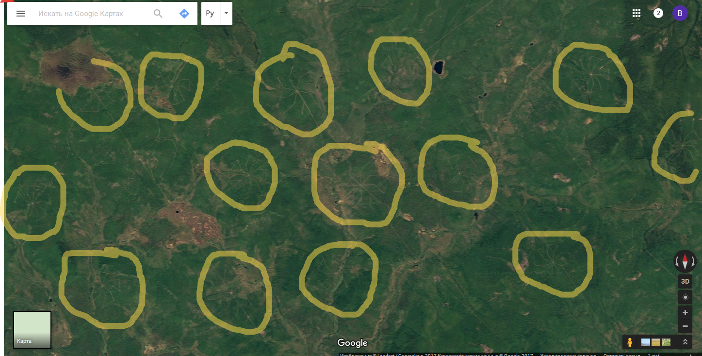 Гугл карты леса Сибири