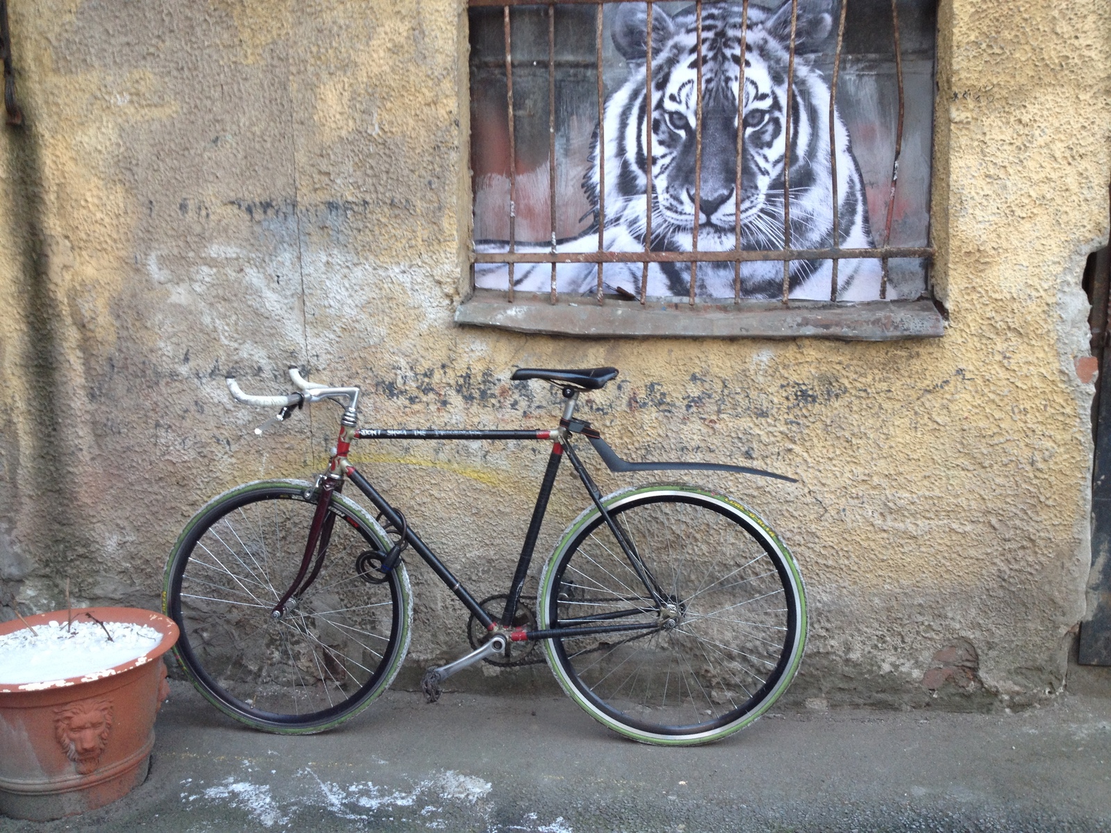 Unexpected acquaintance - My, Workshop, Astonishment, Courier, freezing, Poles, Saint Petersburg, A bike, Longpost