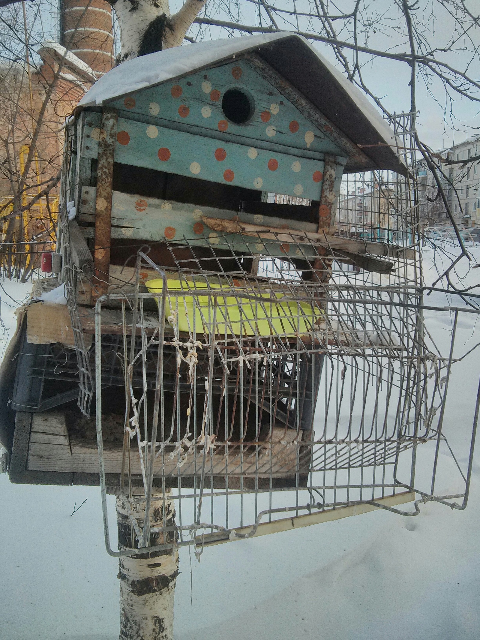 High Security Birdhouse... - My, Ural, Birdhouse, Longpost