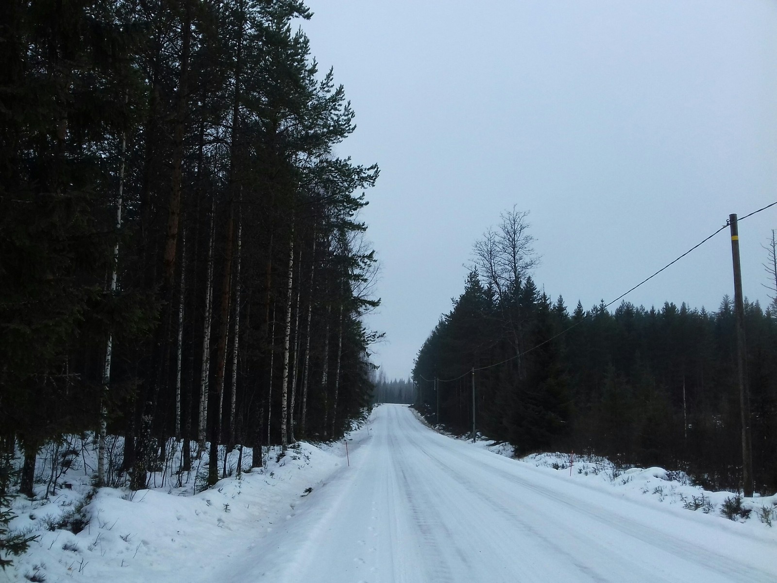 Finn's paradise - My, Finland, Forest, Nature, I am okay with it, Longpost