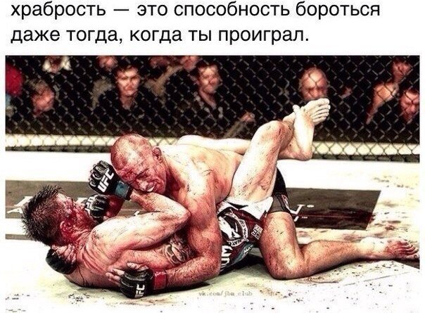 МОТИВАЦИОННЫЕ ФОТО ДЛЯ СПОРТСМЕНОВ!!! - Мотивация, MMA, Нокауты видео, Нокаут, Бокс, Длиннопост