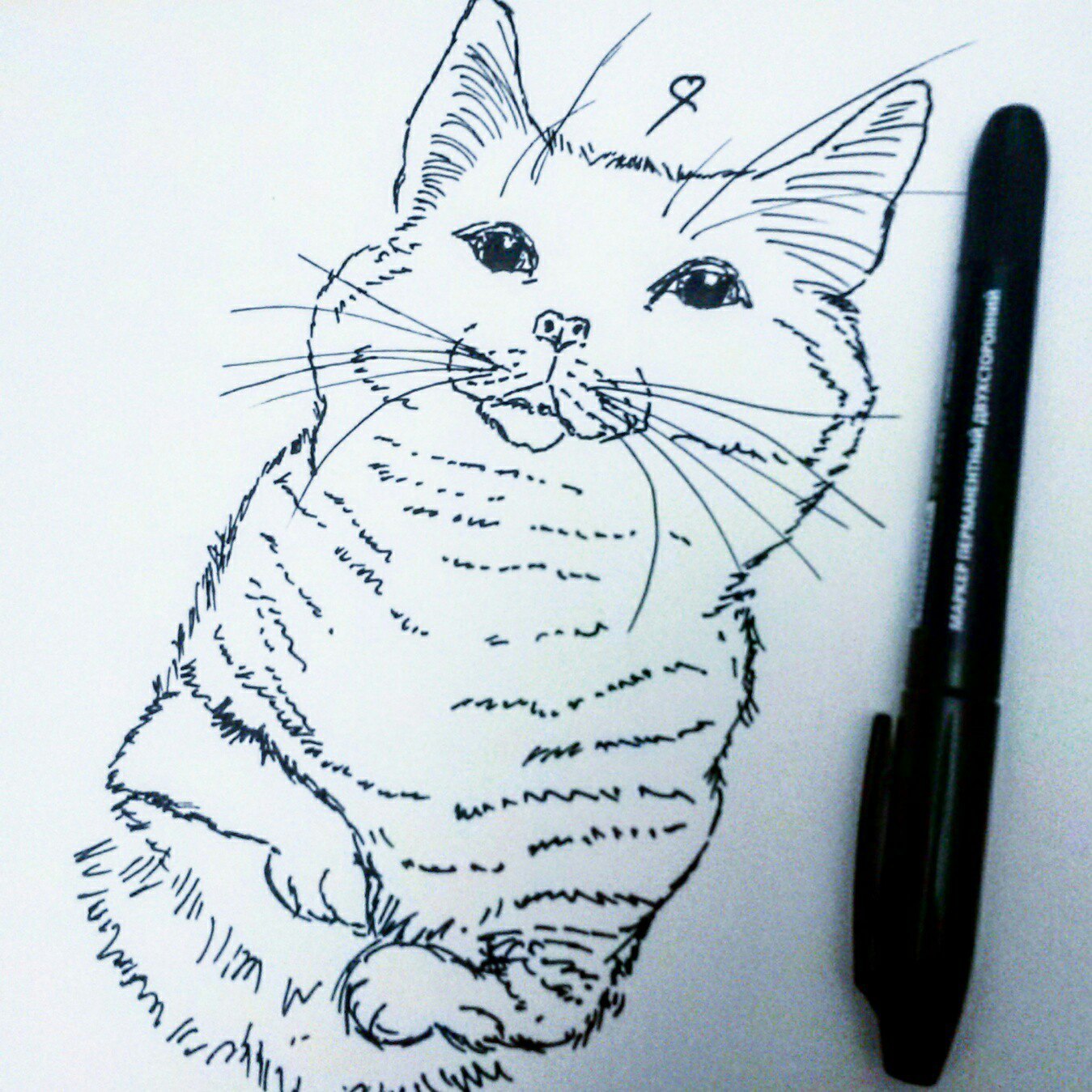 My sketches: - My, Sketch, Illustrations, Sketchbook, cat, , Superwoman, Sketch, Drawing, Longpost