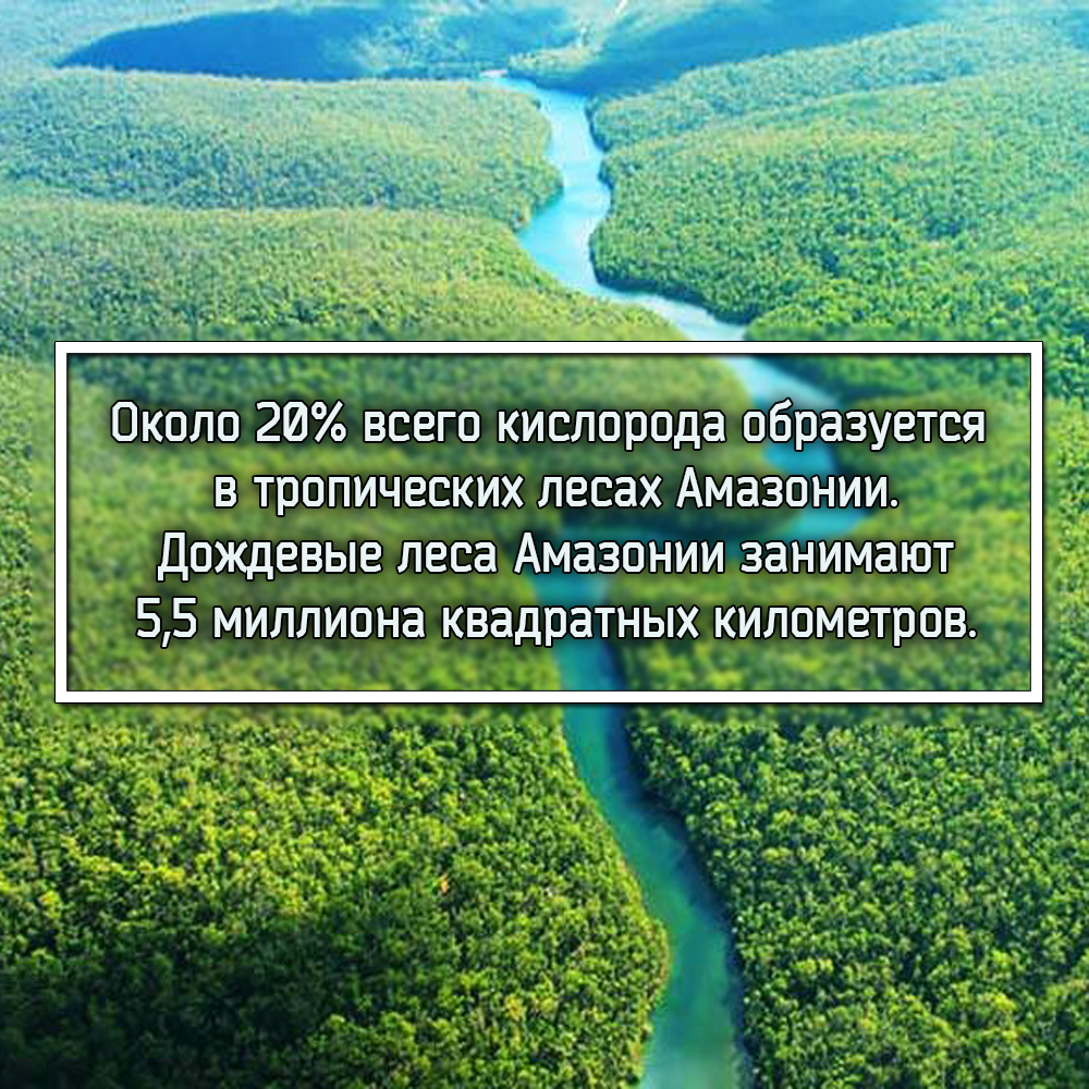 Немного разных интересностей (специально для моих четверых подписчиков) - Моё, Луна, Земля, Венера, Космос, Свет, Атом, Киберспорт, Амазония, Длиннопост