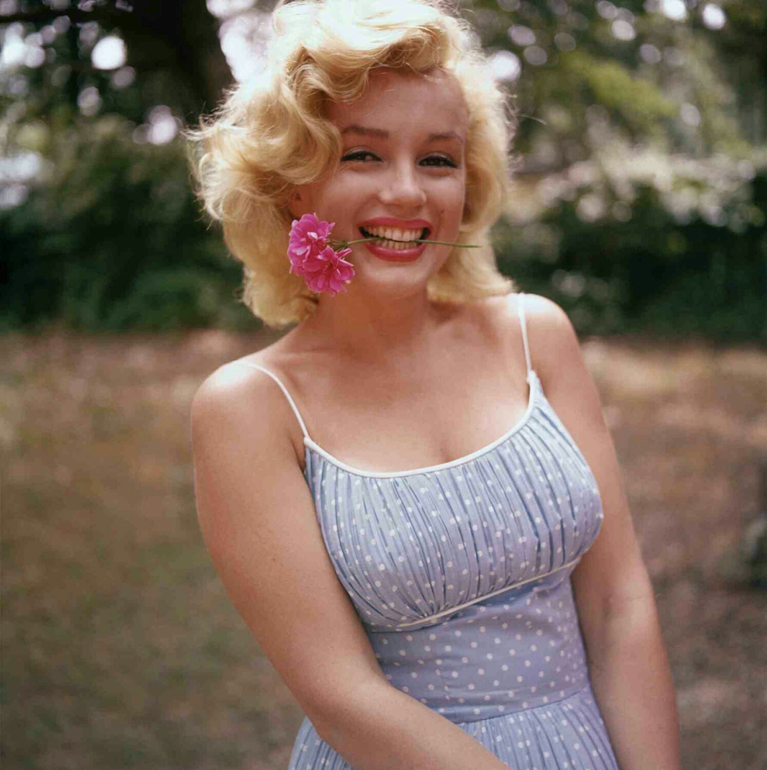 American Beauty - Marilyn Monroe - Marilyn Monroe, Old photo, Beautiful girl, America, Not politics, Longpost