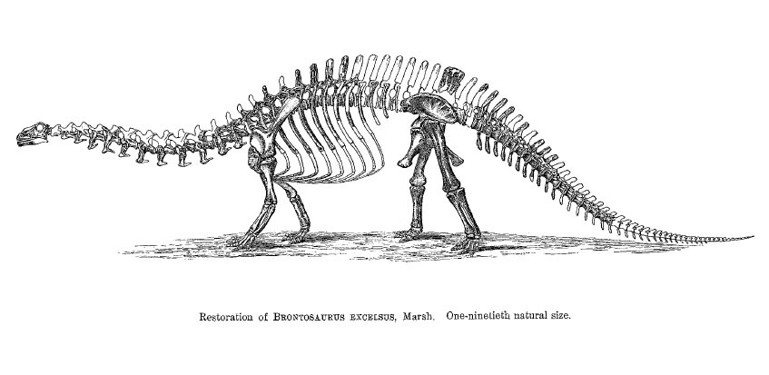 Pro's Library: How to Make History - My, What where When, Bronte, Brontosaurus, Humor, April 1, cat, Story, Longpost