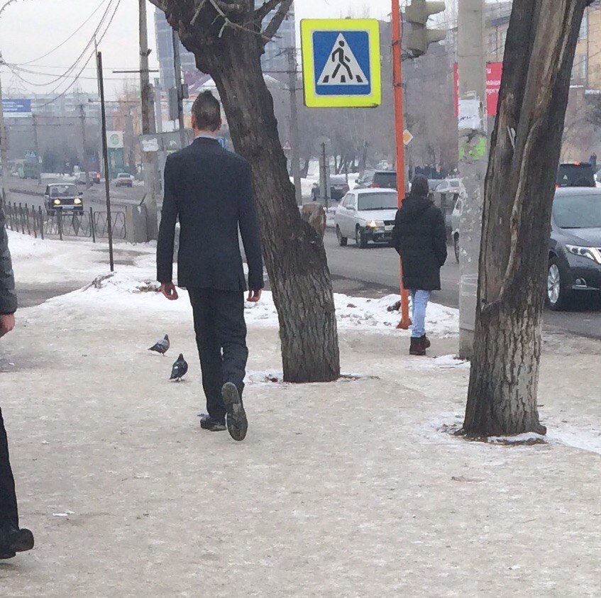 Hot Krasnoyarsk. When you really love to walk around in a suit. - Krasnoyarsk, Walruses, Costume, Fashion