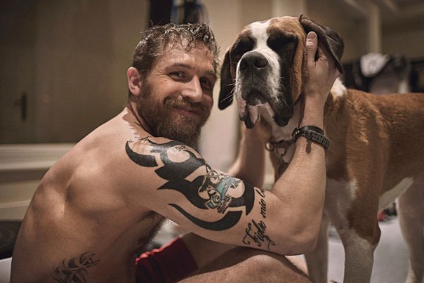 All dogs go to Hardy. - Tom Hardy, Dog, Animals, The photo, Longpost