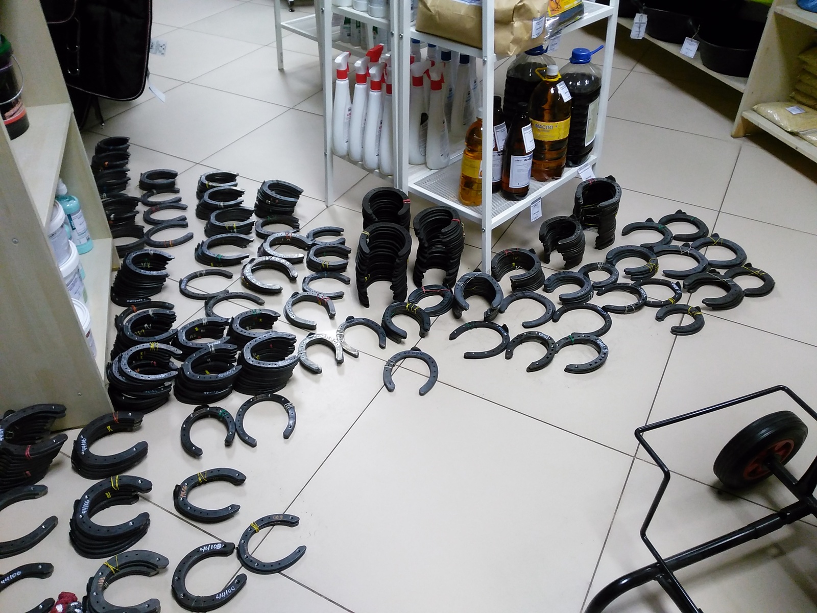 Today I did an inventory of horseshoes in the store. - My, Horses, Horseshoe, Longpost