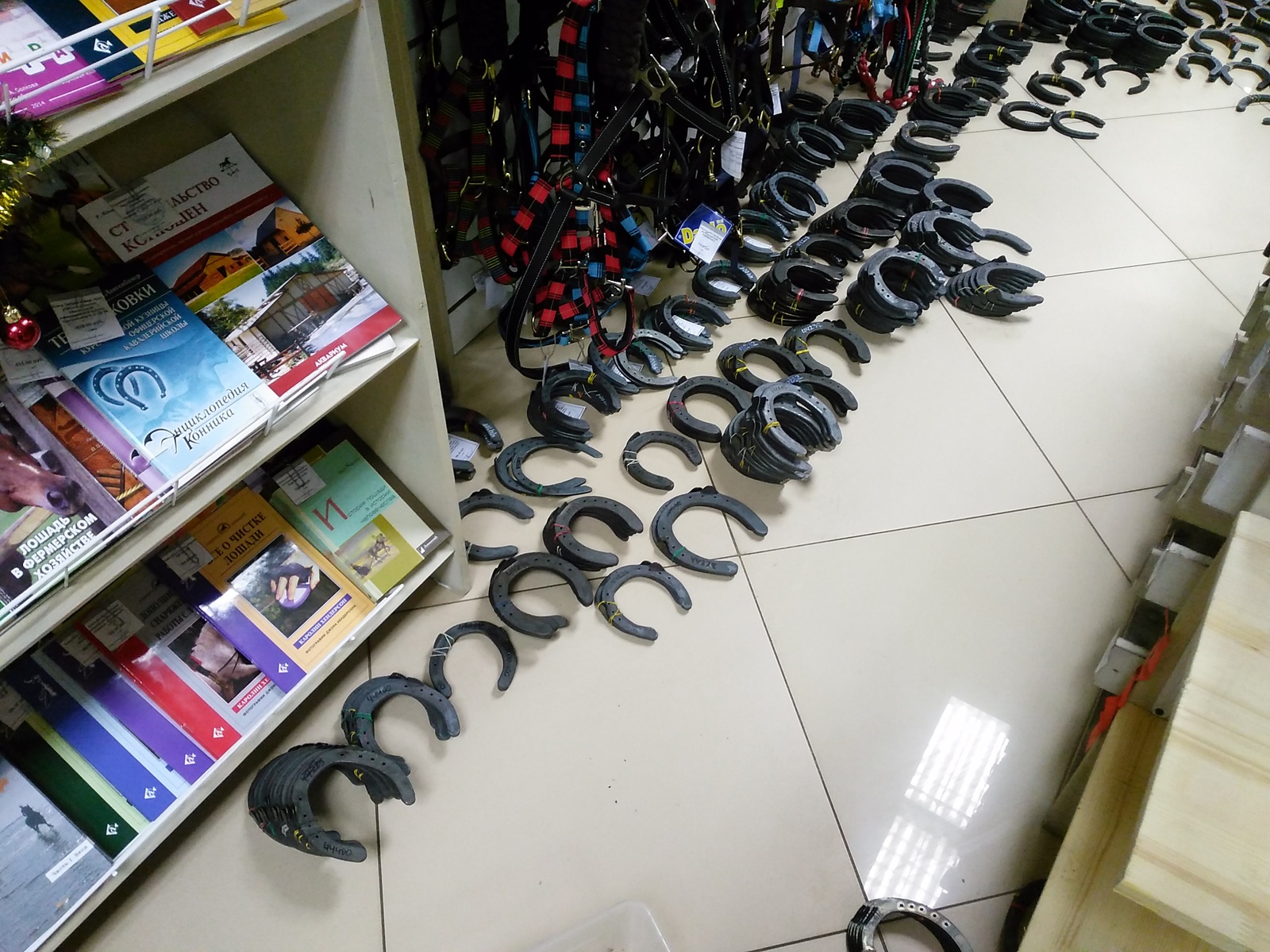 Today I did an inventory of horseshoes in the store. - My, Horses, Horseshoe, Longpost